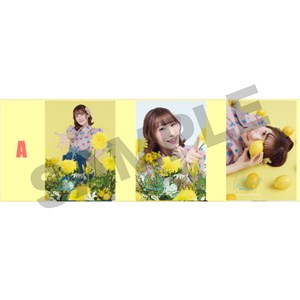 �u���}�C�h�Z�b�gA �y�t�@���~�[�e�B���O vol.1�z