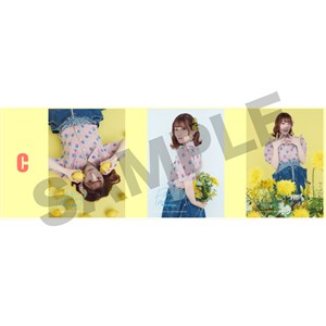 �u���}�C�h�Z�b�gC �y�t�@���~�[�e�B���O vol.1�z