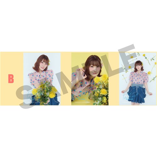 �u���}�C�h�Z�b�gB �y�t�@���~�[�e�B���O vol.1�z