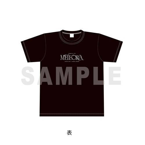 TVc XLTCYyđ×CЂ낫 DRAMATIC LIVE gMETEORAhz